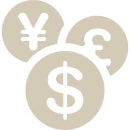 Currency Icon